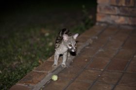 IMG_8415.JPG